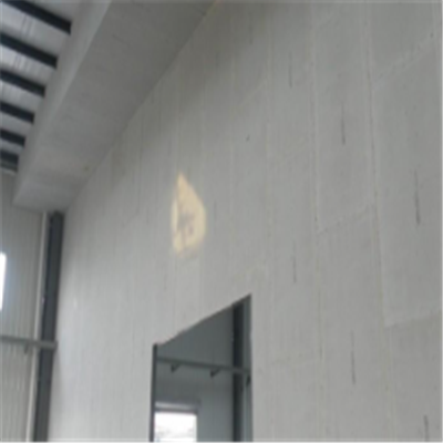 开远宁波ALC板|EPS加气板隔墙与混凝土整浇联接的实验研讨